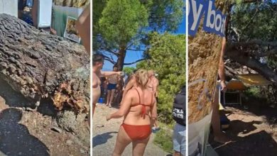 Bor pao na kupače na plaži u Hrvatskoj, povrijeđeno dvoje odraslih i dvoje djece