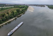 Dunav otkrio skriveni dio prošlosti: Iz vode ponovo izronio čuveni korbovski dud