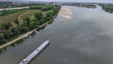 Dunav otkrio skriveni dio prošlosti: Iz vode ponovo izronio čuveni korbovski dud