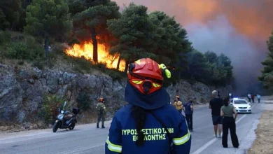 Inžinjer i izvođač radova uhapšeni zbog požara u Grčkoj