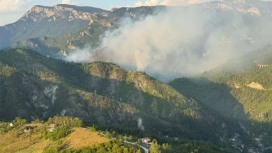 Požar kod Konjica se širi, gasioci na izmaku snaga