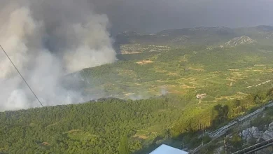 Veliki požar na Pelješcu: Vatra se približava naselju i benzinskoj pumpi