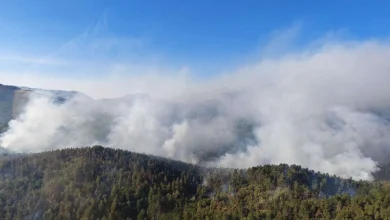 Požari širom BiH: Kod Grahova vatra ne jenjava, ekipe iscrpljene, traže pomoć
