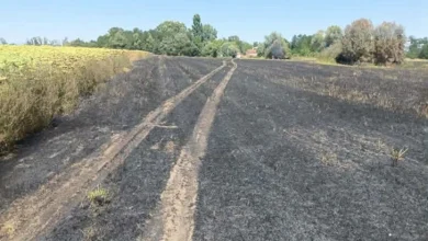 Brzom intervencijom vatrogasaca zaustavljeno širenje požara kod Srpca