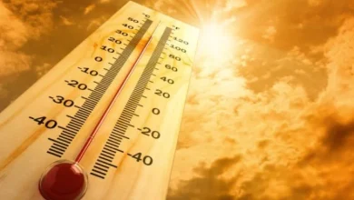 Vrućine ne prestaju: Danas i do 38 stepeni
