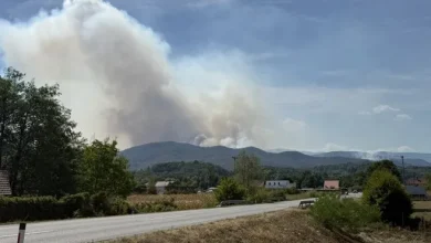 Grčki vojni avion pao tokom aero-mitinga