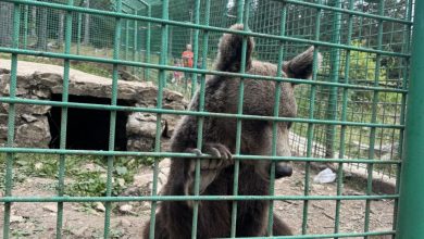 Najveće zvijeri BiH zarobljene u najmanjim kavezima