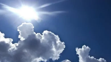 Danas sunčano i toplo