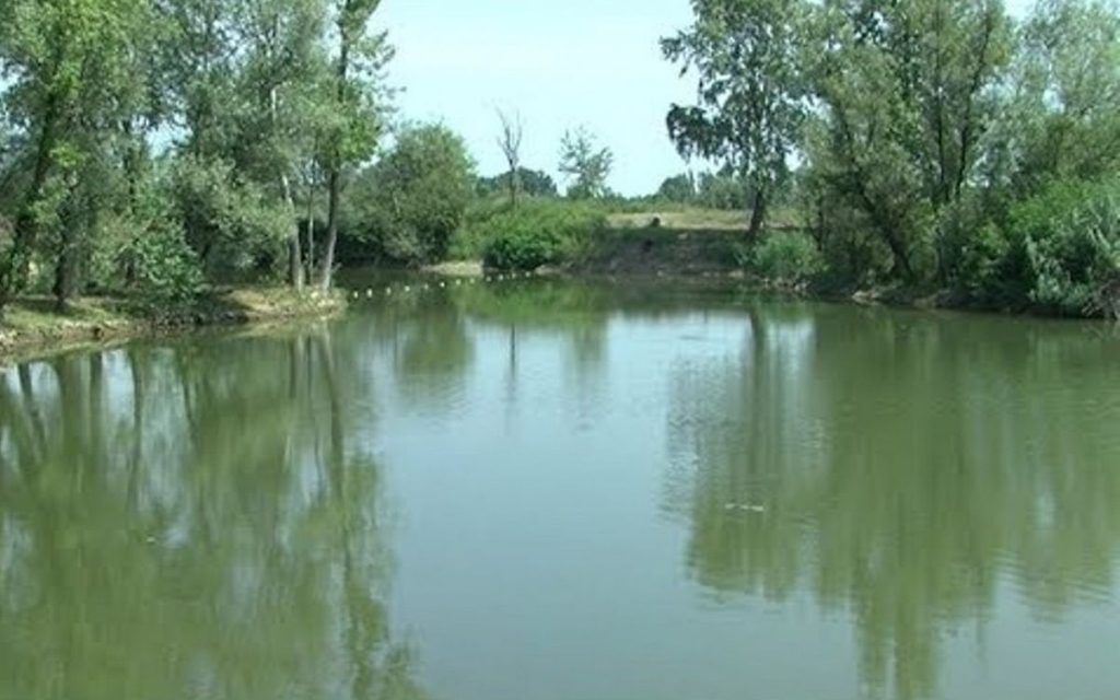 Nije učitano