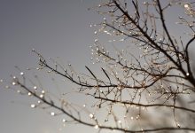Klimatološka zima toplija od uobičajene