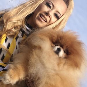 Pomeranac / Pomeranian / Boo štenci