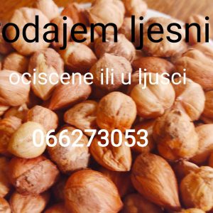 Prodaja ljesnika