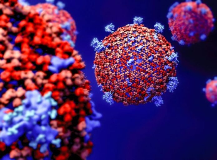 korona_virus herceg novi broj zaraženih korona virusom