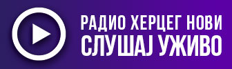 spot_img