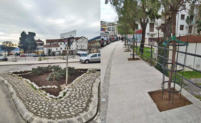 Tamaris, uredjenje zelenila