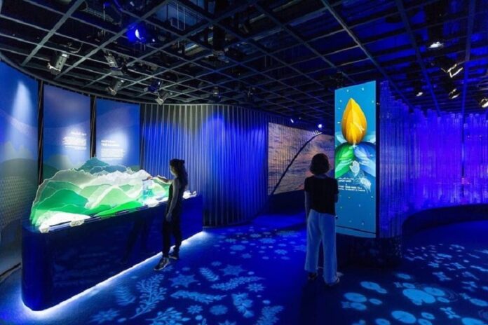 EXPO DUBAI