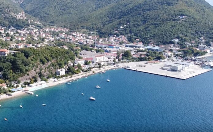 zelenika