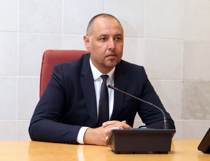 Nenad Vitomirović portret