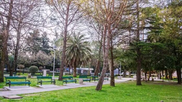 ilijin park