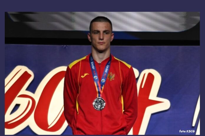 Nemanja Mikulic