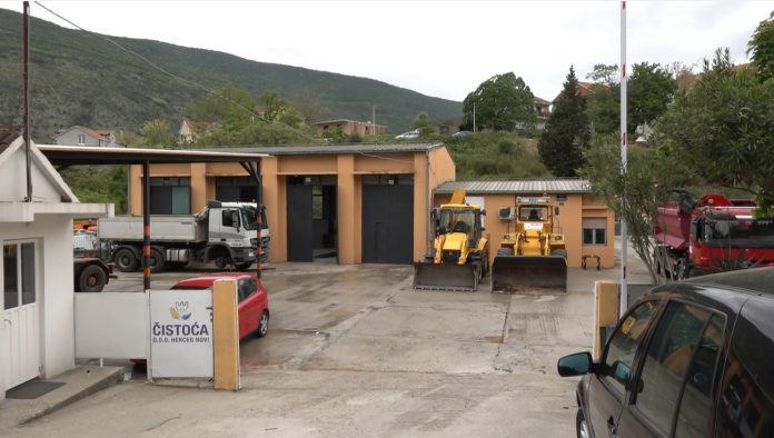 Cistoca