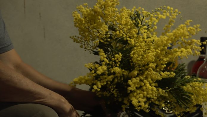 Mimoza Tomasevic