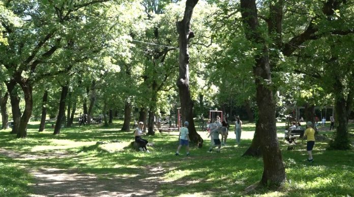 Park Cipovina